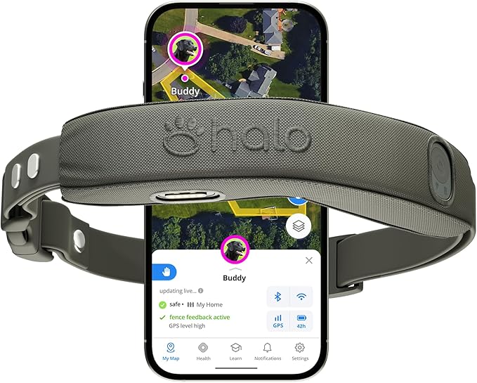 Halo Collar 5, New Wireless Dog Fence & GPS Dog Collar, Subscription Required, Waterproof, Graphite, One Size