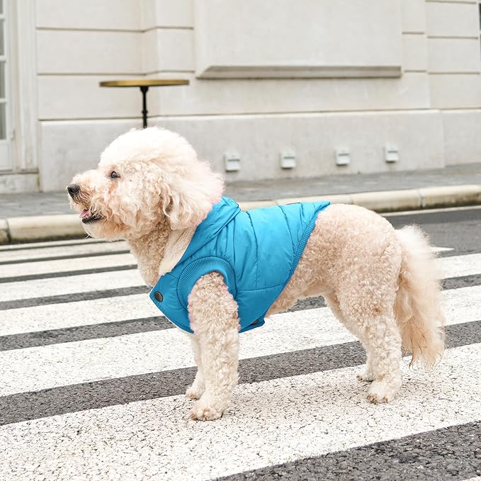 Fleece Lining Extra Warm Dog Hoodie in Winter for Large Dogs Jacket Pet Coats with Hooded,Light Blue XXXL