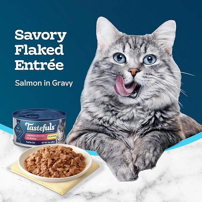 Blue Buffalo Tastefuls Flaked Wet Cat Food, Made with Natural Ingredients, Salmon, 3-oz Cans (24 Count)