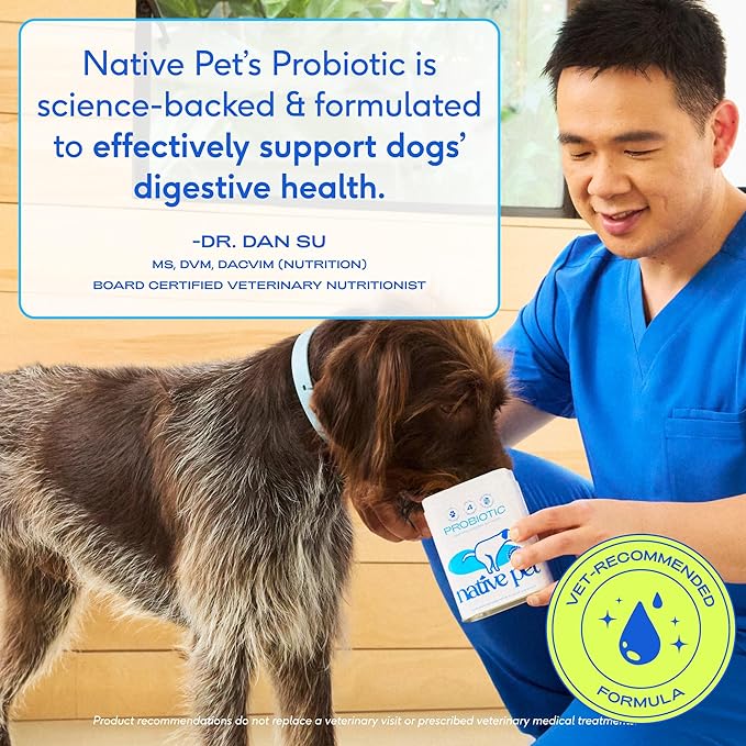 Native Pet Probiotics for Dogs - Dog Probiotics Powder for Digestive Health, Gut Support, & Immune Boost – Vet-Formulated Powder for Maximum Potency with Digestive Enzymes & Prebiotics - 60 Scoops