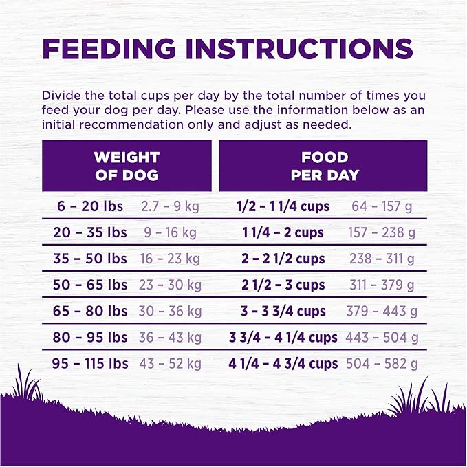 Wellness Complete Health Dry Dog Food with Grains, Natural Ingredients, Made in USA with Real Meat, All Breeds, For Adult Dogs (Whitefish & Sweet Potato, 30-Pound Bag)
