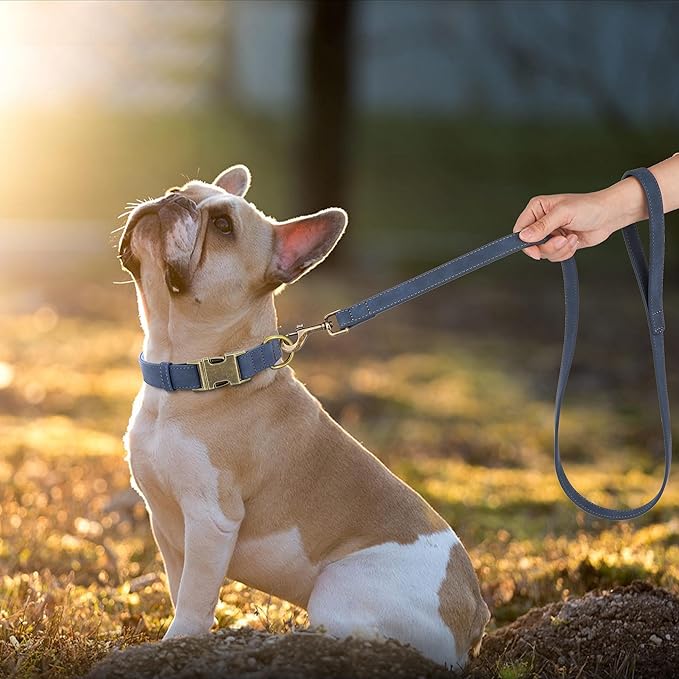 Didog Soft Leather Dog Collar, Durable Heavy Duty Dog Collars with Quick Release Metal Buckle, Adjustable Dog Collar Leather for Medium Small Dogs, Blue, M