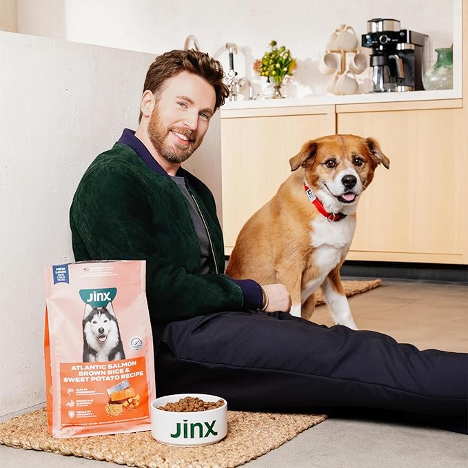 Jinx Kibble Sauce for Dogs - Premium Dog Food Kibble Topper Sauce & Flavor Booster Made with Chicken Bone Broth - All-Natural Ingredients, No Additives or Fillers - 12 Oz