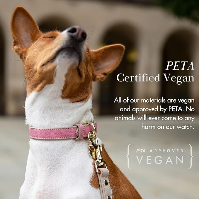 NINA WOOF Rio Vegan Leather Dog Collar - Padded Luxury Dog Collar with Adjustable Buckle - Collar for Dogs Small Dogs to Large Dogs (Medium, Pink)