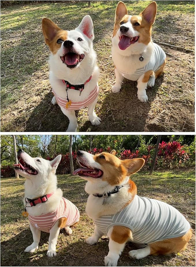 Koneseve Dog Shirt Vest Lightweight Stretchy Dog T-Shirts Soft Cool Shirts Sleeveless Stripe Vests Breathable Clothes for Puppy Kitty Cats Small Medium Large Dogs 2 Pack Pink + Green [ L/Large ]