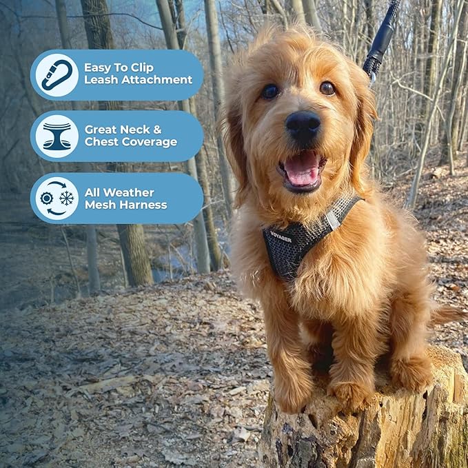 Best Pet Supplies Voyager Step-in Air Harness - All Weather Mesh, Reflective, No Pull Harness for Dogs, Cats - Secure with Hook & Loop Fastener, Buckle, Double D-Rings - Tone, XS