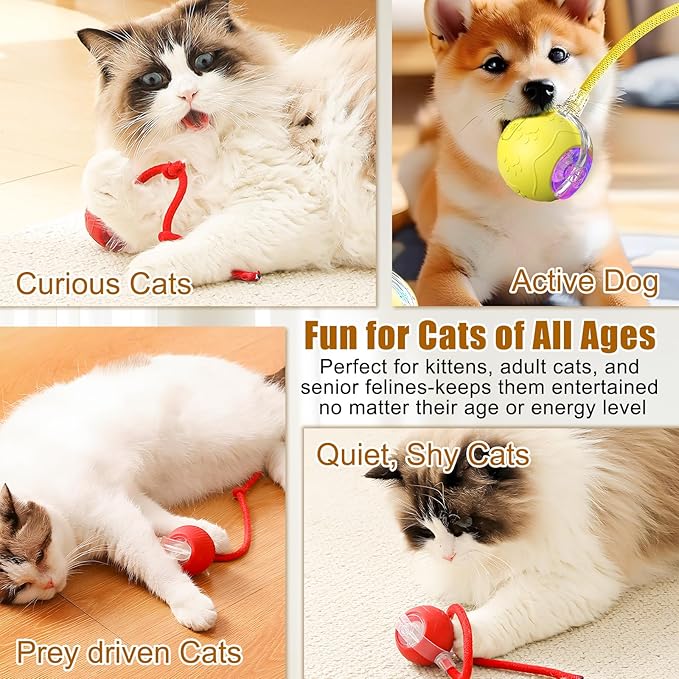 Interactive Cat Toys Ball for Indoor Cats, 2025 Newly Upgraded Automatic Rolling Balls, Moving Cat Ball with Elastic Mesh Tail, Kitten Toys for for Bored Indoor Adult Cats/Dog (Red)