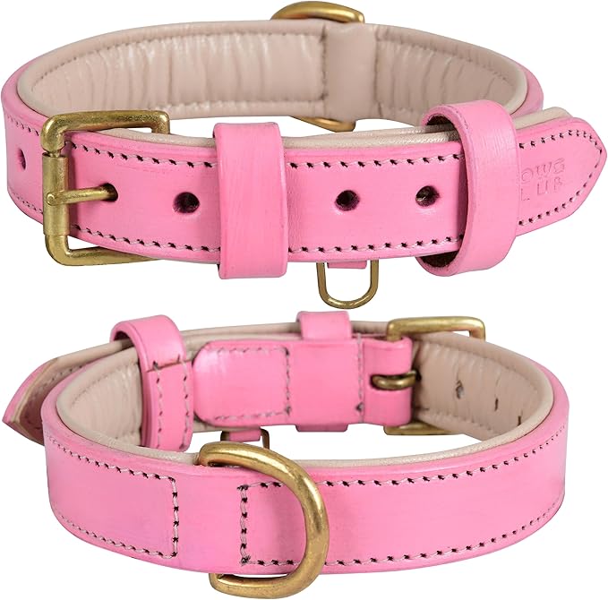 Leather Dog Collar for Small Dogs, Light Pink, .75 Inch Wide, Genuine Leather, Heavy Duty with Soft Inner Padding, Comfortable and Durable | (Blush Pink, Small (Fit Neck Size 11.5"-14.5"))
