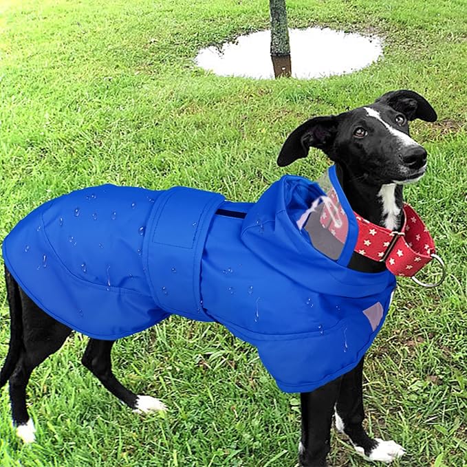 Kuoser Dog Raincoat, Waterproof Dog Rain Jacket with Clear Hooded Double Layer, Lightweight Reflective Dogs Rain Coat with Adjustable Belly Strap, Rain Coats for Medium Dogs Outdoor Wear, Blue M