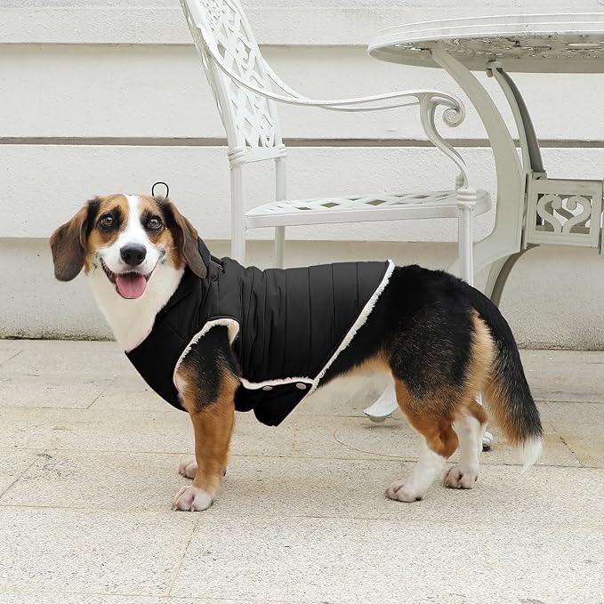 Fleece Lining Dog Hoodie with Harness Built in,Extra Warm Medium Dog Jacket in Winter Doggie Coats with Drawstring Hooded,Black L
