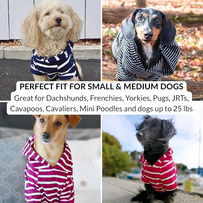 DJANGO Dog Hoodie – Warm, Lightweight, Soft & Stretchy Dog Sweater with Hood, Harness Hole & Elastic Waistband – Cozy Sweatshirt for Small Dogs up to 25 lbs, Dachshunds & Puppies – Boysenberry, Medium