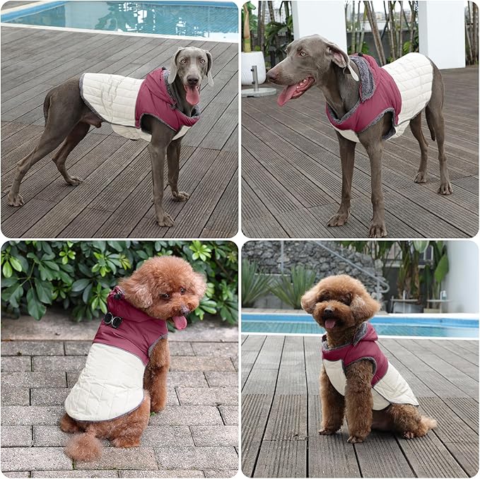 Detachable Hooded Dog Coat with Harness for Small Dogs,Super Warm Fleece Puppy Jacket for Cold Winter Doggie Coats,Red S