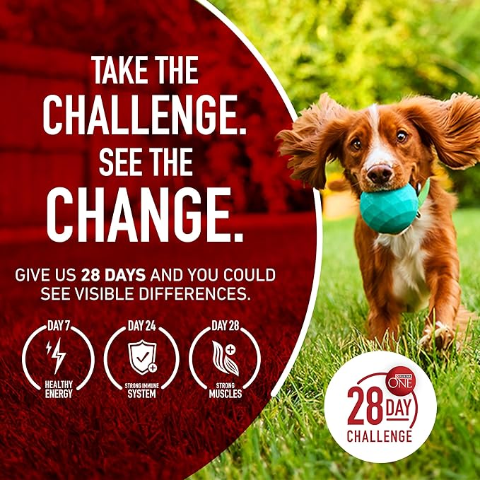 Purina ONE Natural High Protein Dry Dog Food Dry True Instinct with Real Beef and Salmon With Bone Broth and Added Vitamins, Minerals and Nutrients - 15 lb. Bag