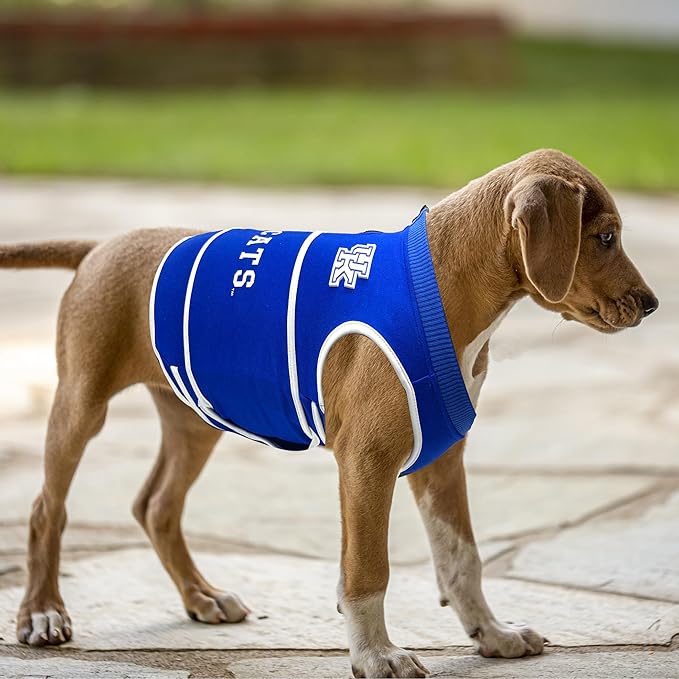 NCAA Kentucky Wildcats Dog Anxiety Shirt Calming Soothing Vest for Dogs Cats with Anxiety, Fears, Fireworks, Loud Noises, Dark, Lonely Keeps Dogs Calm & Feeling Safe, Relaxing Jacket, Small
