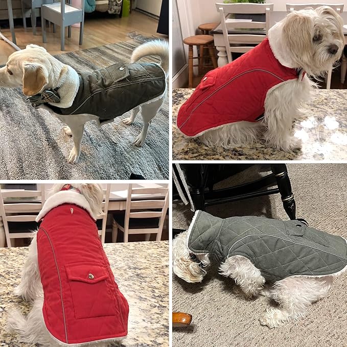 Malier Dog Winter Coat, Windproof Dog Cold Weather Coats with Real Pocket, Winter Extra Warm Pet Coat Fleece Jacket Reflective Clothes for Small Medium Large Dogs and Puppy (Red, Small)