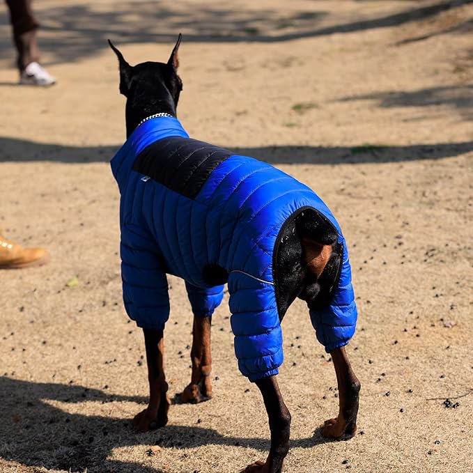 Lovelonglong Warm Jacket - 4 Legs Covered Waterproof Windproof Reflective Vest, Zippered Adjustable Outdoor Snow Jacket for Small Medium Large Dogs, Blue L