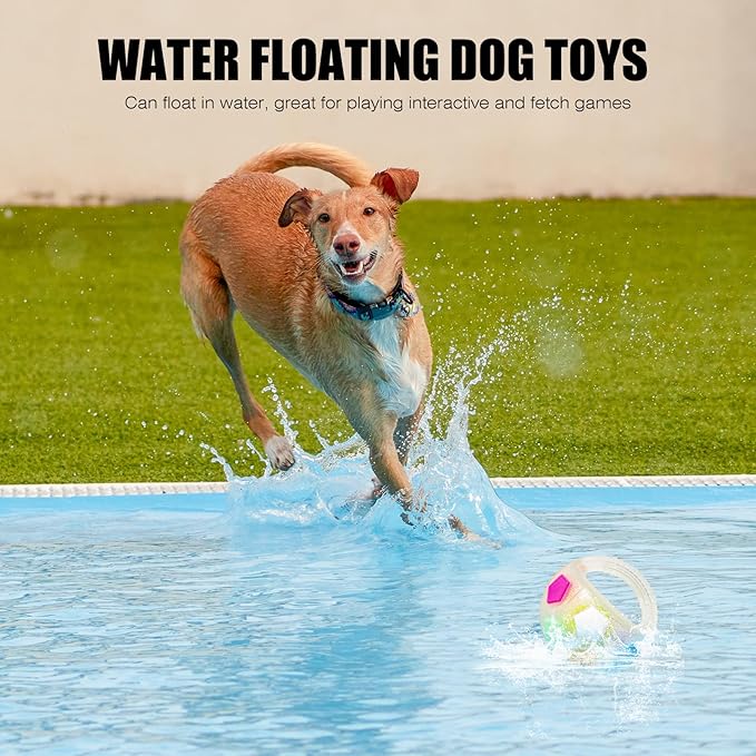 Dog Toy Ball with Handle, Toss and Fetch Play, Interactive Ball for Dogs Playing, Squeaky Floating (Transparent)