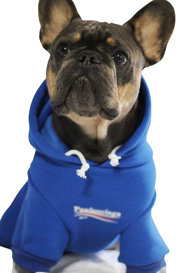 ChoChoCho Stylish Streetwear Blue Dog Sweatshirt Tracksuits, Cats Hoodies, Dog Outfit for Cat Puppy Small Medium (4XL)