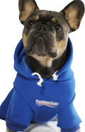 ChoChoCho Stylish Streetwear Blue Dog Sweatshirt Tracksuits, Cats Hoodies, Dog Outfit for Cat Puppy Small Medium (5XL)