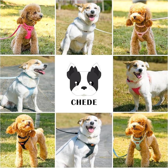 No Pull Dog Harness- Lightweight, Soft, Adjustable Small Harness Collar and Leash Set, Suitable for Cats Puppy Small and Medium-Sized Dog Outdoor Training and Running (Pink, XXS)
