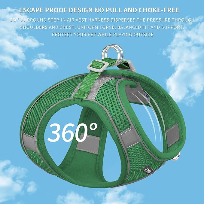 AIITLE Dog Harness, Summer No-Pull Cat Harness with a Leash, Adjustable Reflective Dog Vest, Cat Harness Escape Proof, Outdoor Walking, Camping for Extra Small Dogs and House Cats Green XXXS