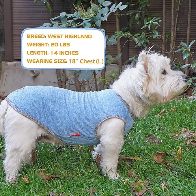 KYEESE 2 Pack Dog Shirts Quick Dry Soft Stretchy Pet T-Shirts with Reflective Label Tank Top Sleeveless Vest Sun Protection Dog Clothes for Small Dogs, X-Large, Light Blue+Grey