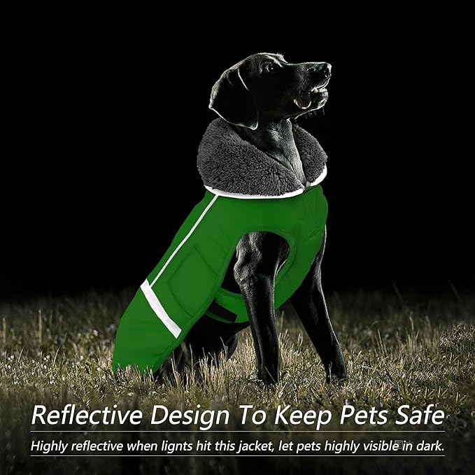 Dogcheer Warm Dog Coat, Waterproof Dog Jacket Christmas Puppy Winter Coat with Buckle, Reflective Adjustable Pet Snow Jacket Turtleneck Fleece Sweater for Small Medium Large Dogs - Green, L