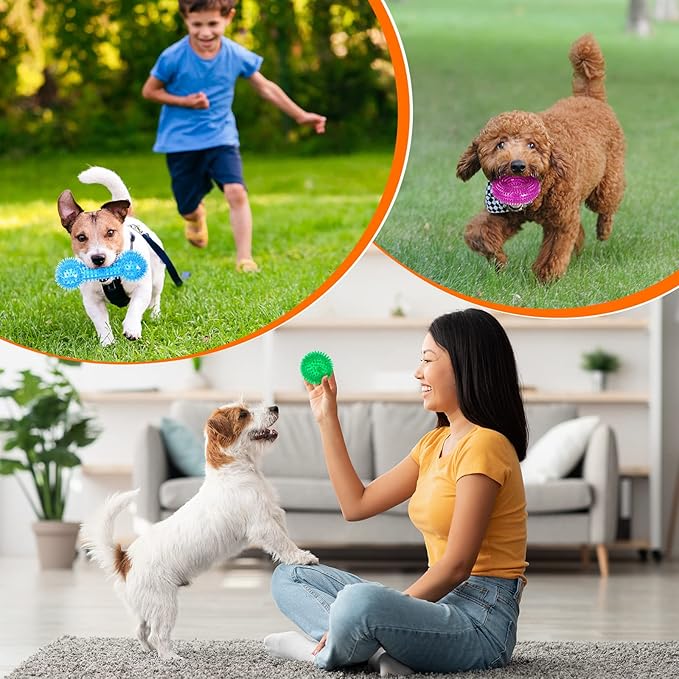 Yunsailing 9 Pcs Dog Squeaky Toys Set, Dog Squeaky Balls Bone Shape Teething Toys Donut Shape Balls for Small Puppy Medium TPR Rubber Pet Chew for Training Fetching Teething