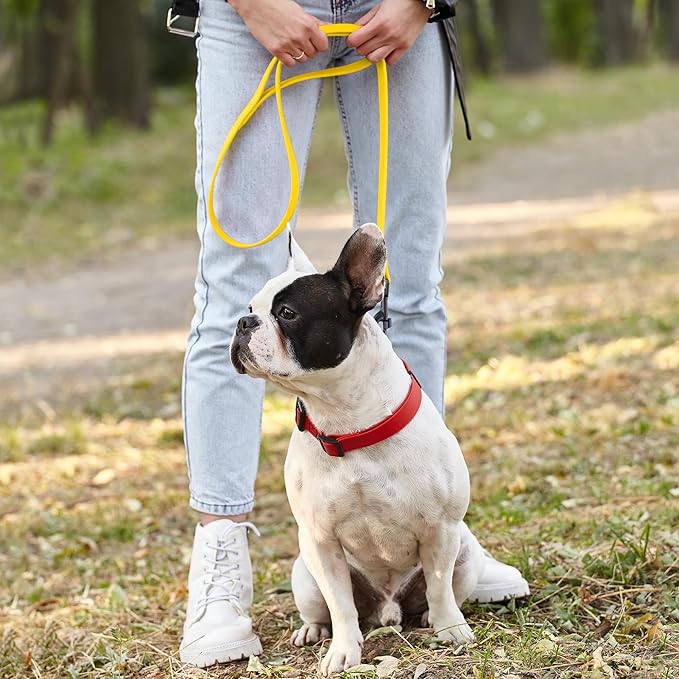 Dogline Biothane Waterproof 4ft Dog Leash Strong Coated Nylon Webbing with Black Hardware Odor-Proof Easy to Clean High Performance for Small or Large Dogs Made in USA 4ft Lead, Lemon Yellow