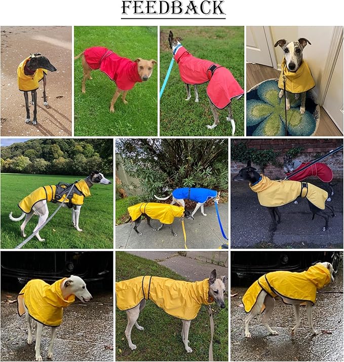 Dog Raincoat with Reflective Bar, Rain/Water Resistant, Adjustable Vest - Dog Raincoats for Greyhounds, Lurchers and Whippets - Yellow - M
