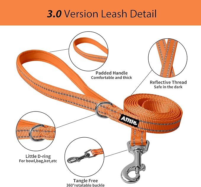 AIITLE Comfortable Dog Harness and Leash Set for Walking - Summer Step in Vest Harness,Reflective Bands, Adjustable No Pull Puppy Essentials, for Small Dogs and House Cats Orange XS