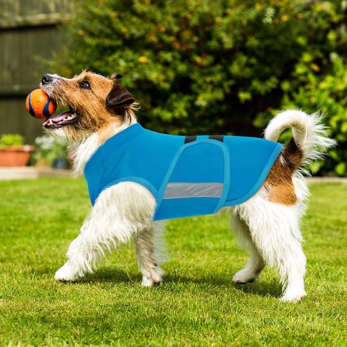 MIGOHI Dog Anxiety Relief Coat,Comfort Anxiety Vest for Dogs,Adjustable Dog Anxiety Calming Wrap for Fireworks,Thunderstorm,Travel,Separation,Anxiety Jacket for Small Dogs,S,Blue
