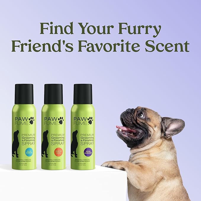 PAWFUME Dog Detangler Grooming Spray, Royal Lavender, 2-Pack – Keeps Pups Fresh All Day – Hypoallergenic, Alcohol-Free, Detangling & Moisturizing – Salon-Quality Dog Necessities for Coat & Fur Care