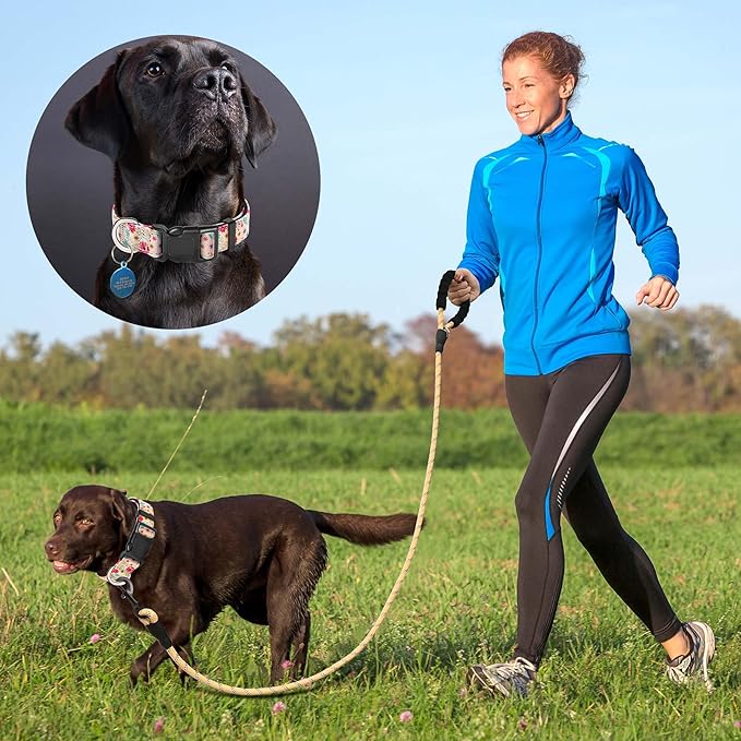 Reflective Dog Collar Padded with Soft Neoprene Breathable Adjustable Nylon Dog Collars for Small Medium Large Dogs (Medium (Pack of 1), Vanila/Pink Floral Collar+Leash)