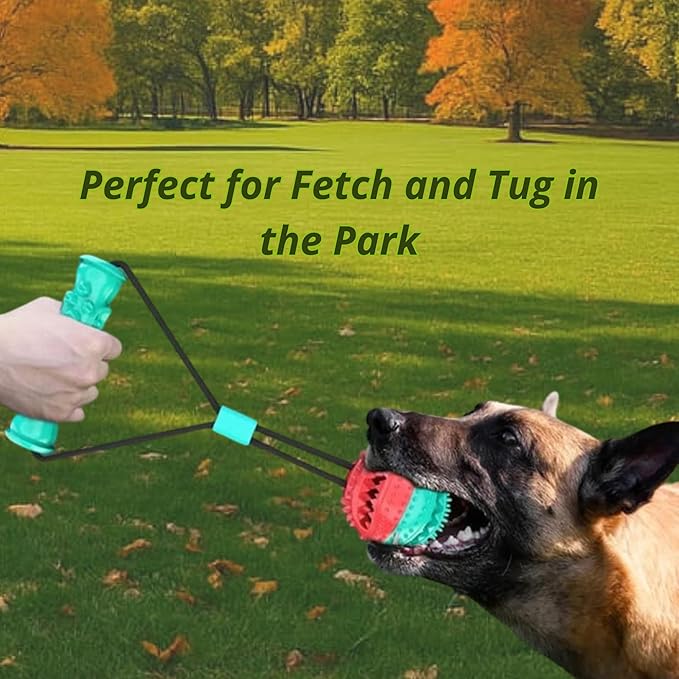 Dog Ball with Rope – Durable TPR Chew Toy for Tug, Fetch & Dental Cleaning – Treat Dispensing Interactive Toy for Small, Medium & Large Dogs – Indoor Outdoor Play Training by Tail Town