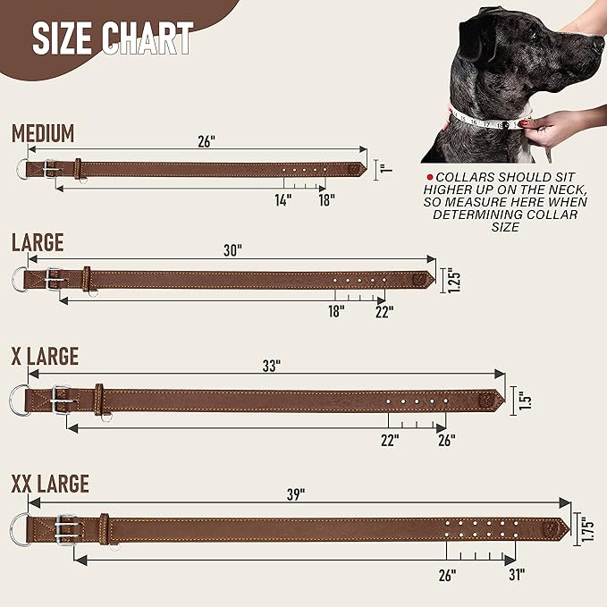 Riparo Dog Collar - Genuine Leather Dog Collars - Heavy Duty Dog Collars for Medium Large and Extra Large Dog Breeds (M: 1” Wide for 14” - 18” Neck, Brown)
