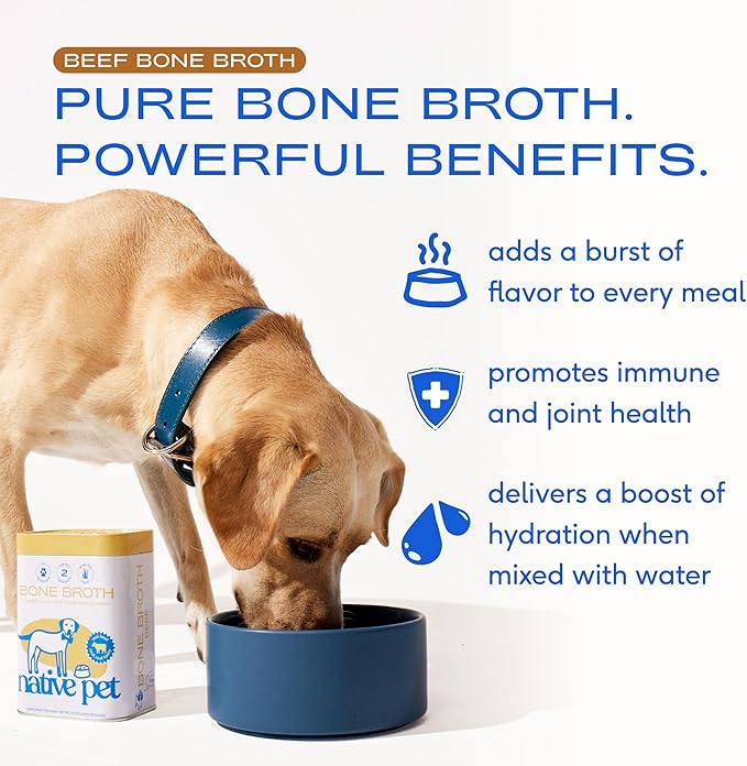 Native Pet Beef Bone Broth for Dogs (4.75 oz) & Organic Pumpkin for Dogs (8 oz.) - Dog Bone Broth Powder Food Topper for Picky Eater and All-Natural, Organic Fiber Pumpkin Powder
