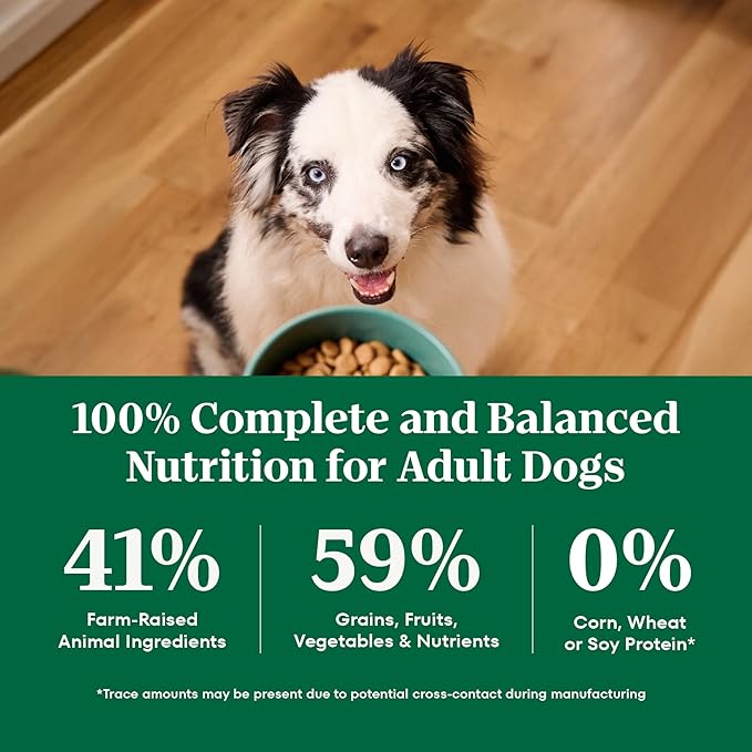 Nutro Natural Choice Adult Dry Dog Food, Beef and Brown Rice Recipe, 12 lbs.