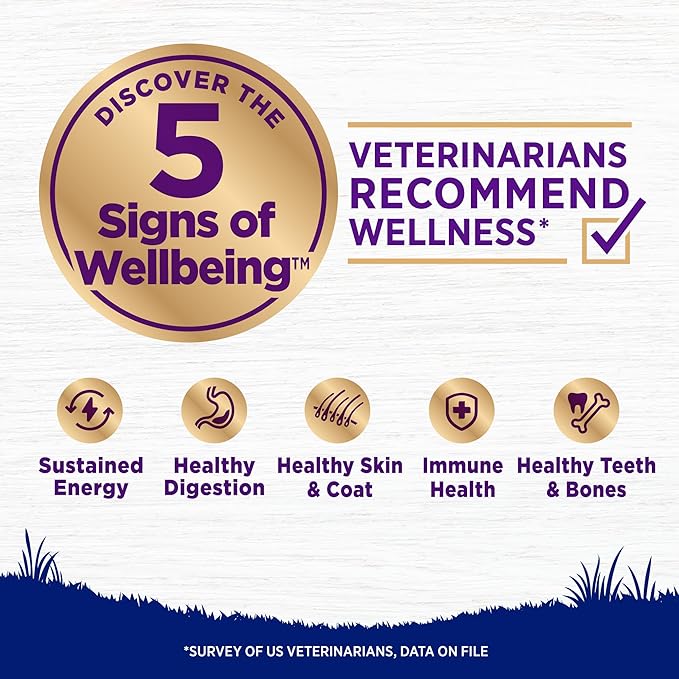 Wellness Complete Health Large Breed Dry Dog Food with Grains, Natural Ingredients, Made in USA with Real Meat (Adult, Chicken & Rice, 15-Pound Bag)