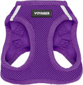 Best Pet Supplies Voyager Step-in Air Harness - All Weather Mesh, Reflective, No Pull Harness for Dogs, Cats - Secure with Hook & Loop Fastener, Buckle, Double D-Rings - Purple, XS