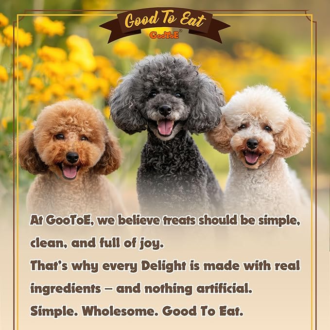 Gootoe Turkey Tendons for Dogs –All-Natural, Hypoallergenic Dog Treats, Rawhide Alternative, Long Lasting Puppy Chews, Healthy Dog Treats for Medium Breeds, Ring (M), 3 Count Pack