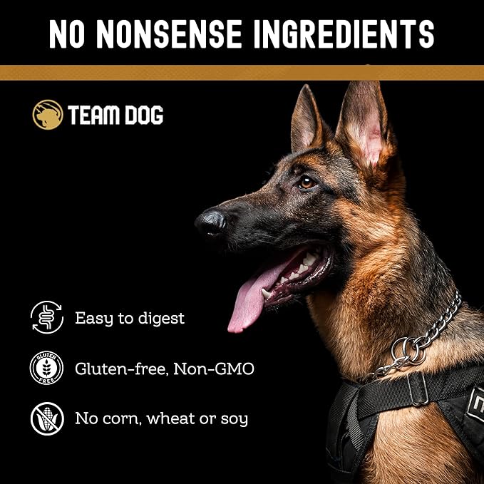 Team Dog Elite Blend Salmon Dog Food with Herring & Lentils | High Protein Dog Food for Sensitive Stomachs & Skin | Chicken Free, Gluten Free, GMO Free, No Corn, Wheat or Soy (33 lb)