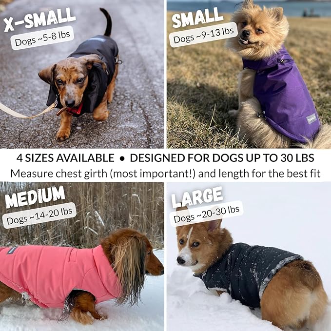 DJANGO Puffer Dog Coat – Warm Winter Dog Jacket & Water-Repellent Insulated Puffer Vest with Striped Lining, Harness Hole, Adjustable Fit for Small & Medium Dogs, Dachshunds – Sea Foam Green, Medium
