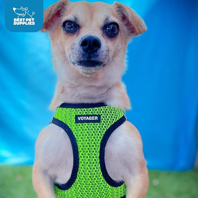 Best Pet Supplies Voyager Step-in Air Harness - All Weather Mesh, Reflective, No Pull Harness for Dogs, Cats - Secure with Hook & Loop Fastener, Buckle, Double D-Rings - Tone, L