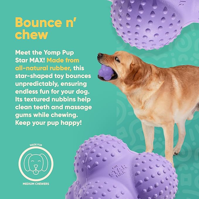 Yomp PupStar MAX Dog Toy – Star-Shaped, Bouncing Ball with Nubbins for Dental Health, Dishwasher Safe