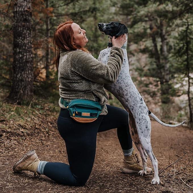 Wilderdog Utility Fanny Pack stores Treats, Balls, Keys in 3 Pockets with adjustable strap and Poop Bag dispenser (Evergreen)