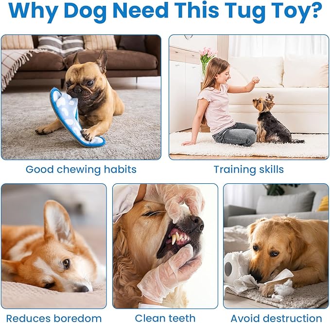 Tether Tug Outdoor Dog Toy, Interactive Exercise Game in Yard Park Tug of War with Chew Rope Toy for Small Medium Large Dogs, Adjustable Dog Stake Toy to Pull Chase and Solo Play