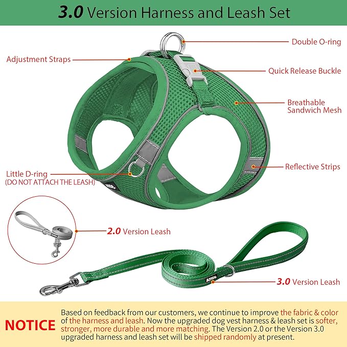 AIITLE Comfortable Dog Harness and Leash Set for Walking - Summer Step in Vest Harness,Reflective Bands, Adjustable No Pull Puppy Essentials, for Small Dogs and House Cats Green XS