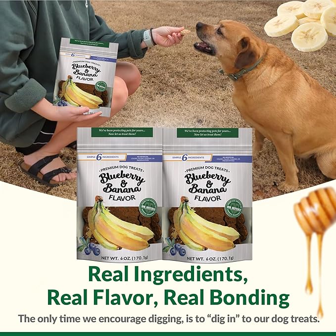 Dig Defence Premium Dog Treats - Blueberry and Banana, Natural Ingredients, Baked Gourmet Snacks for Small & Big Dogs, Healthy Training Treat, 2 Pack