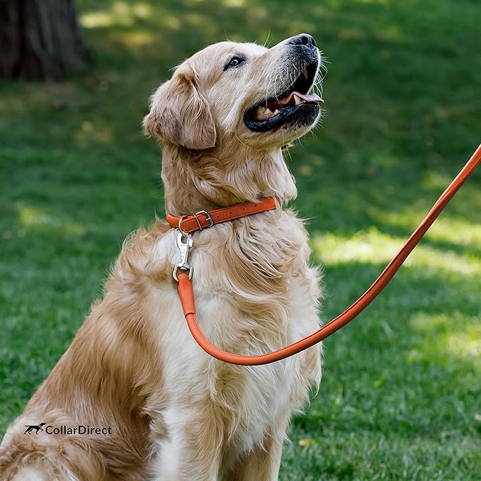 CollarDirect Rolled Leather Dog Collar, Soft Padded Round Puppy Collar, Handmade Genuine Leather Collar Dog Small Large Cat Collars 13 Colors (11-14 Inch, Orange Textured)